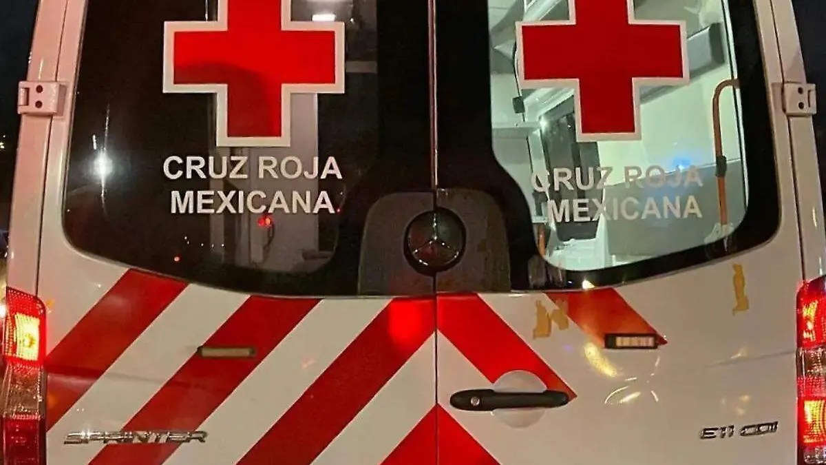 image - 2026-02-24T094810.061