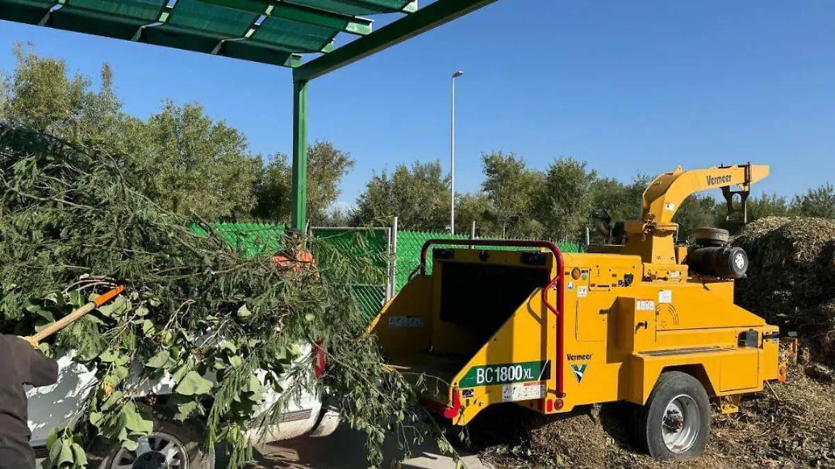Poda-libre-Torreón