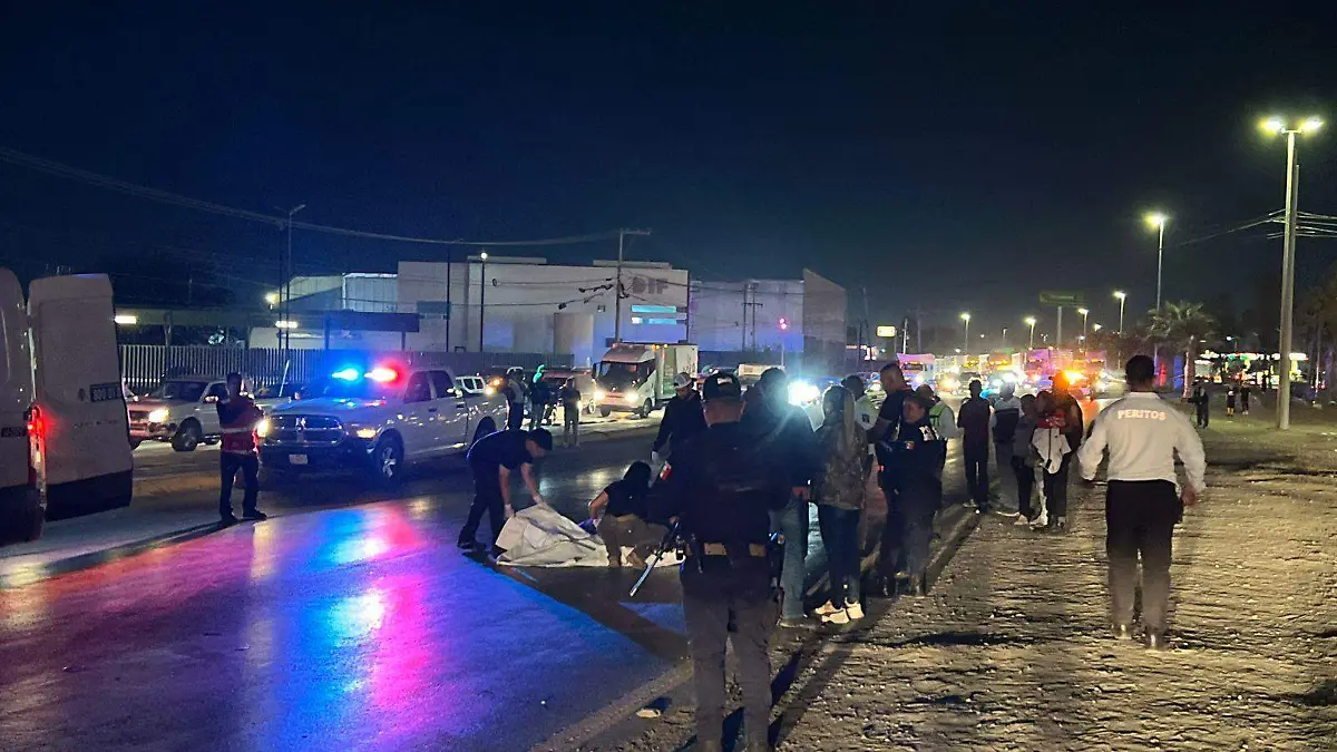 WhatsApp Image 2026-02-24 at 8.23.02 PM