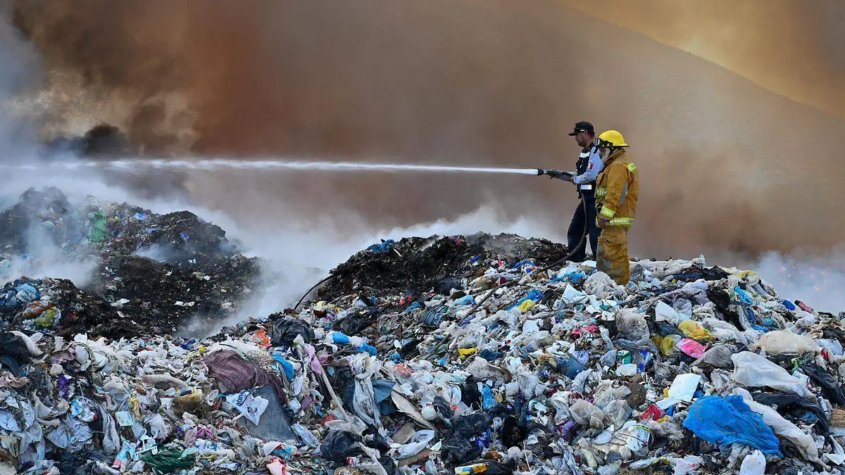 WhatsApp Image 2026-02-26 at 4.10.46 PM