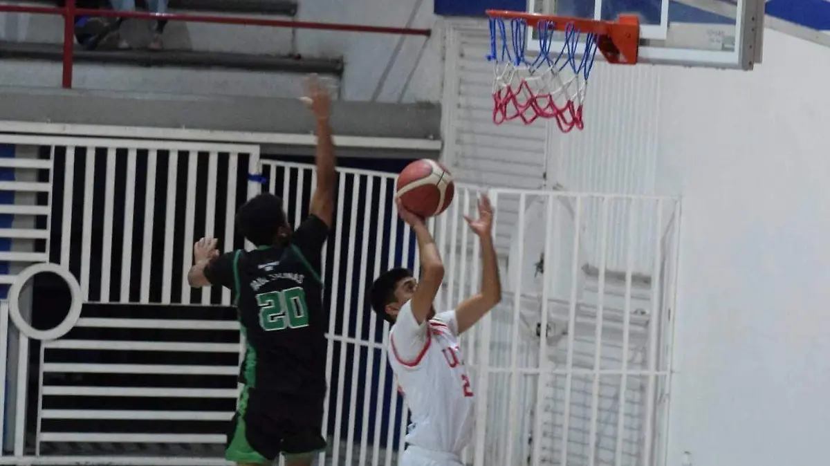 WhatsApp Image 2026-02-26 at 5.58.49 PM