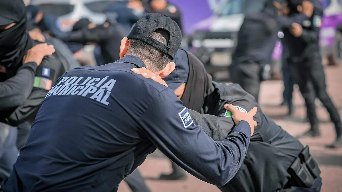 WhatsApp Image 2026-02-28 at 5.54.52 PM