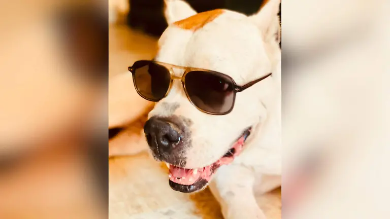 Medidas Portada CUE - 2026-03-02T100213.269