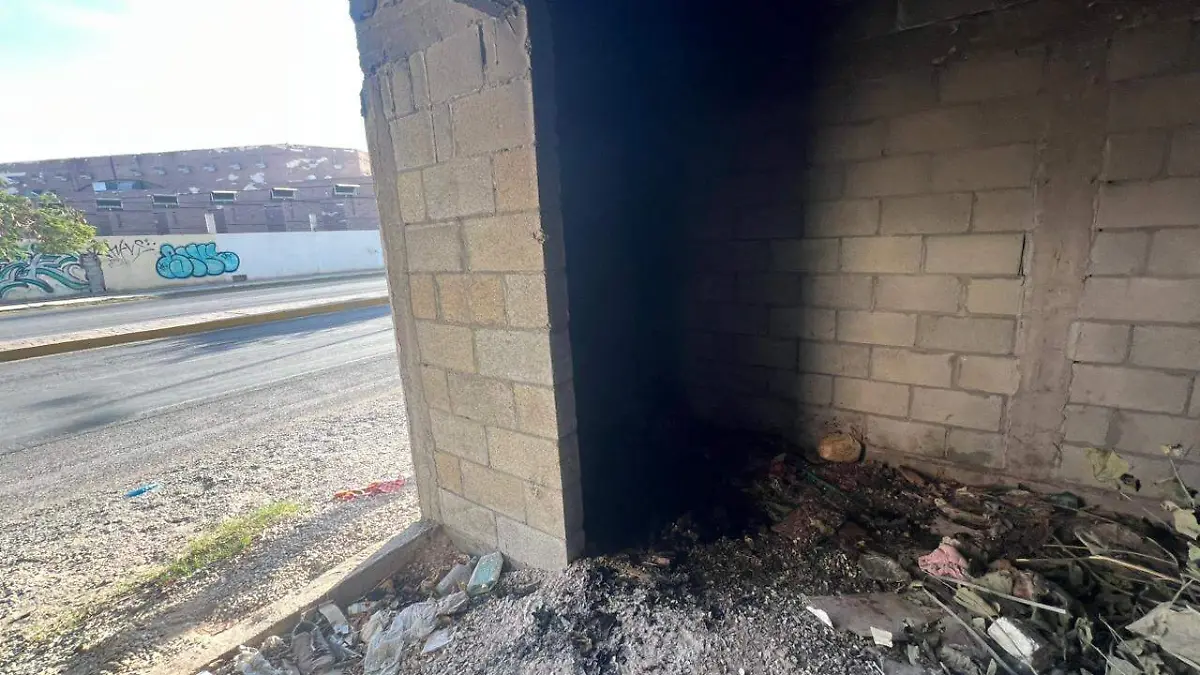 WhatsApp Image 2026-03-03 at 9.39.01 AM