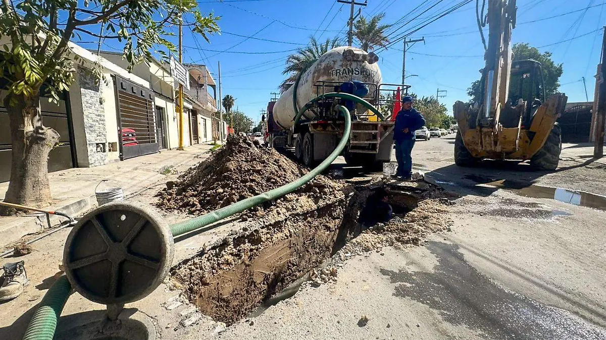 WhatsApp Image 2026-03-03 at 5.44.46 PM (1)