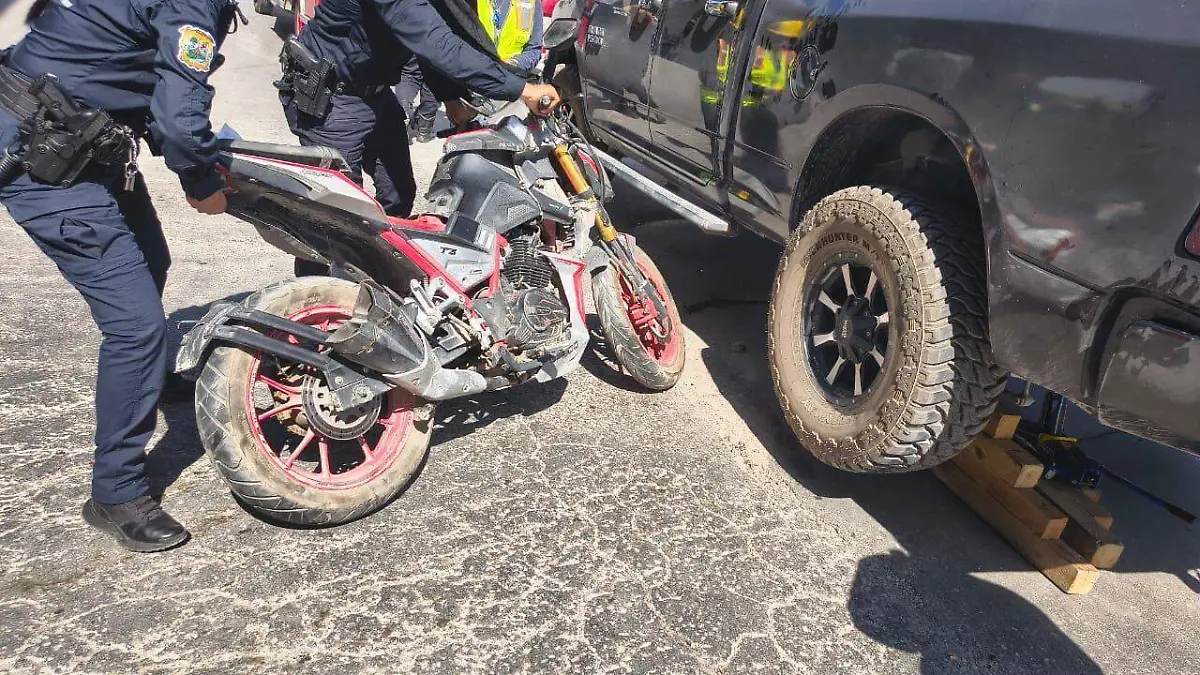 WhatsApp Image 2026-03-03 at 7.07.17 PM