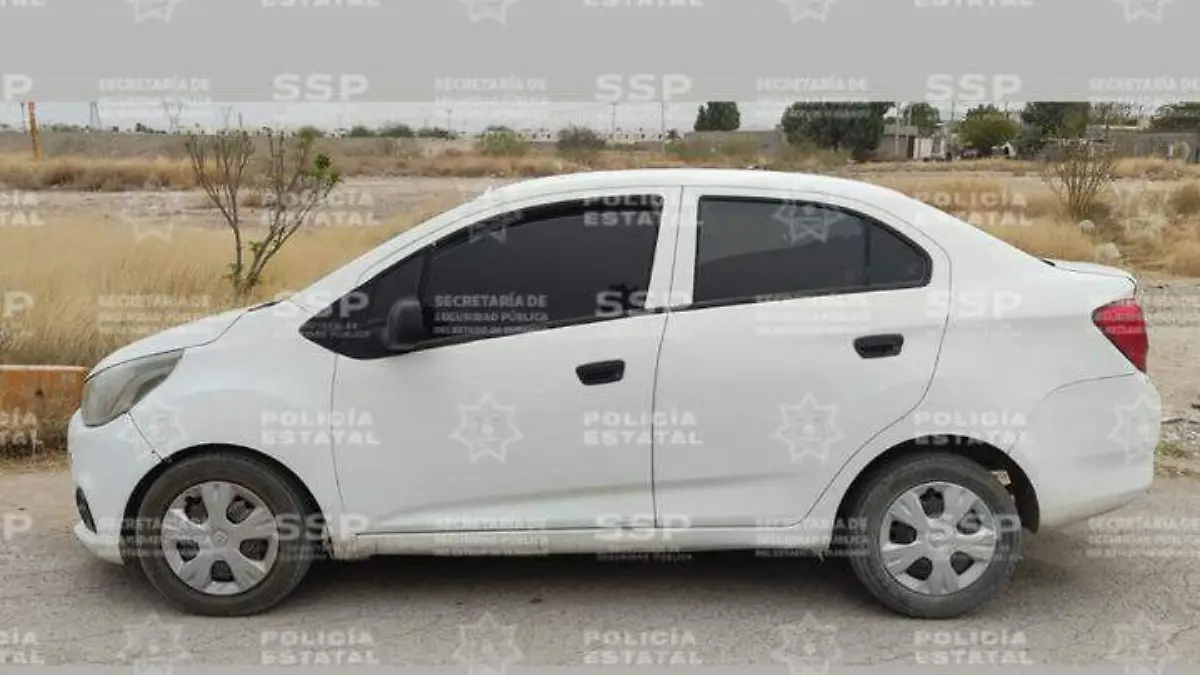 WhatsApp Image 2026-03-09 at 13.15.32