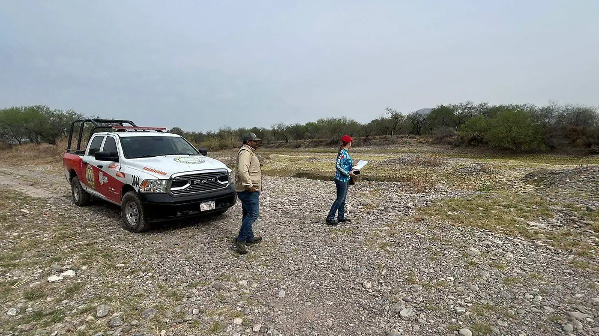 WhatsApp Image 2026-03-09 at 13.21.09