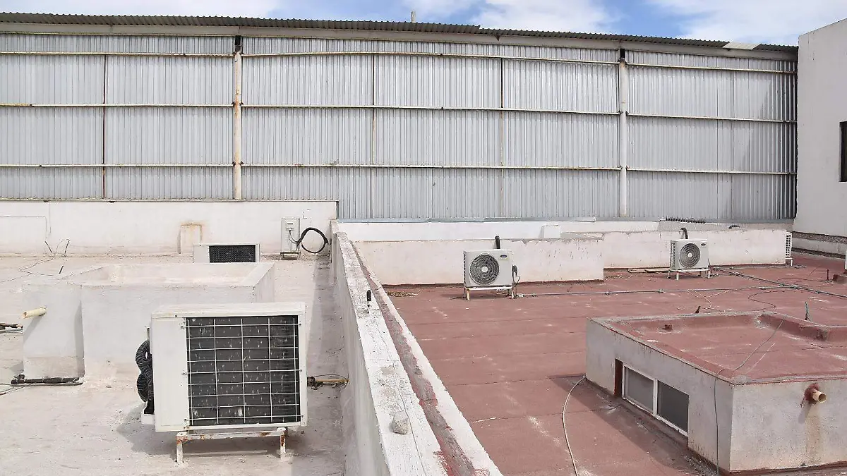 WhatsApp Image 2026-03-10 at 10.14.24