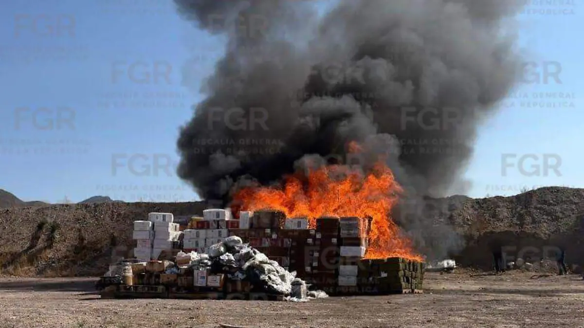 WhatsApp Image 2026-03-10 at 11.34.18