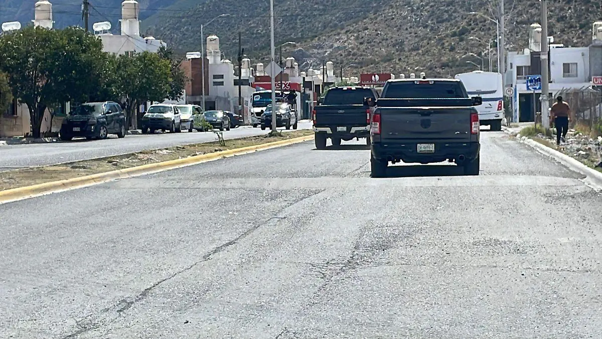 WhatsApp Image 2026-03-10 at 14.29.22