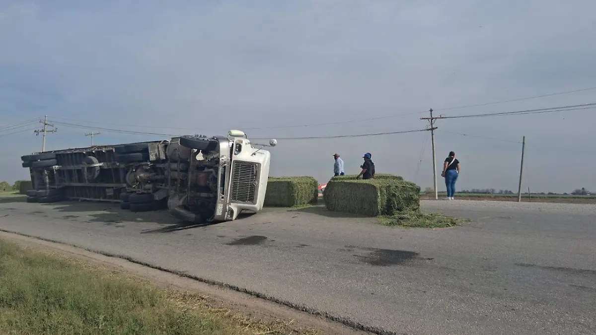 WhatsApp Image 2026-03-10 at 4.01.52 PM