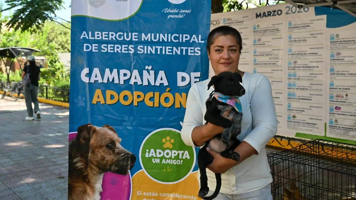 WhatsApp Image 2026-03-11 at 13.06.03