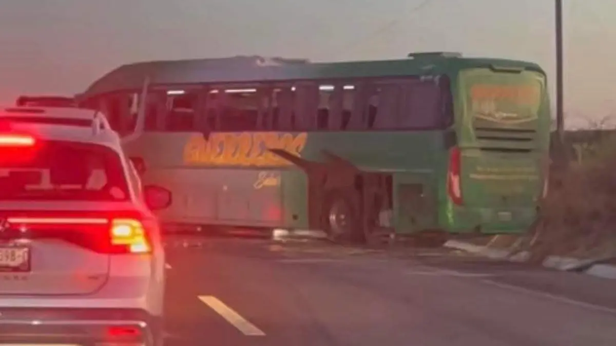 WhatsApp Image 2026-03-11 at 13.36.08