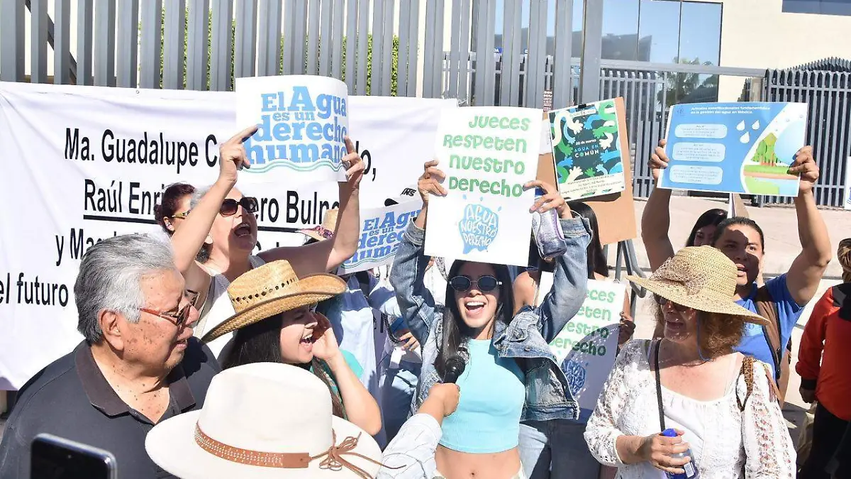 WhatsApp Image 2026-03-11 at 13.30.42