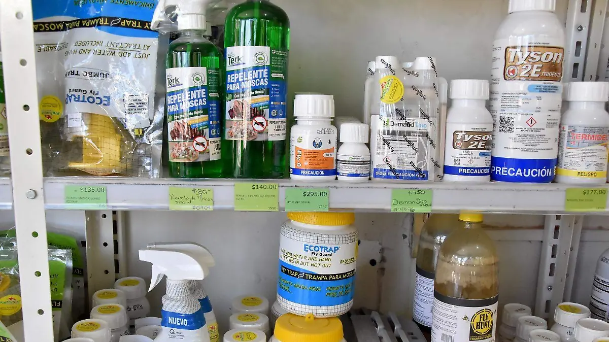 WhatsApp Image 2026-03-11 at 15.10.59