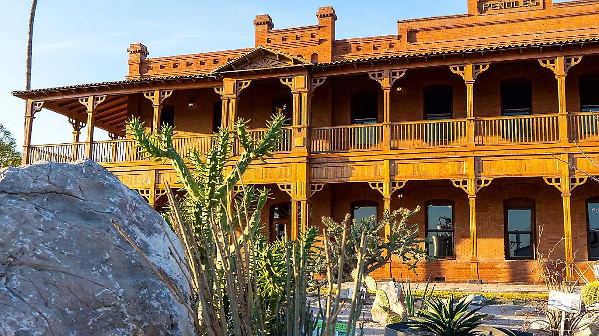 WhatsApp Image 2026-03-12 at 10.41.57