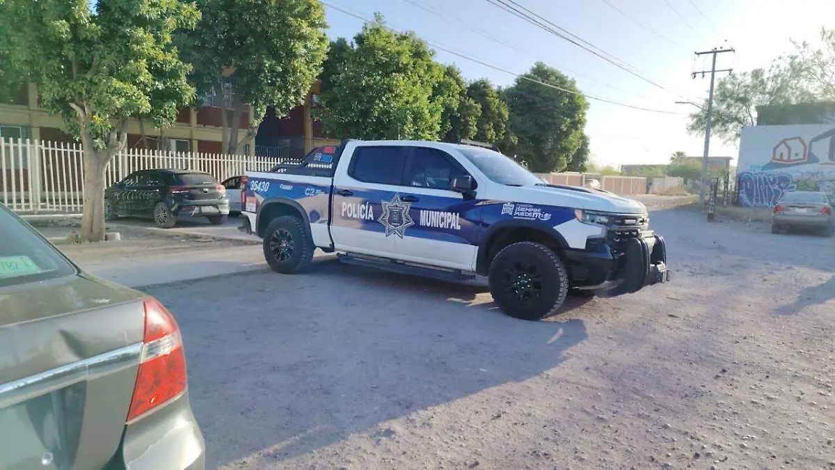 WhatsApp Image 2026-03-12 at 11.49.38