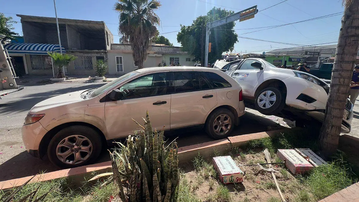 WhatsApp Image 2026-03-12 at 14.57.37