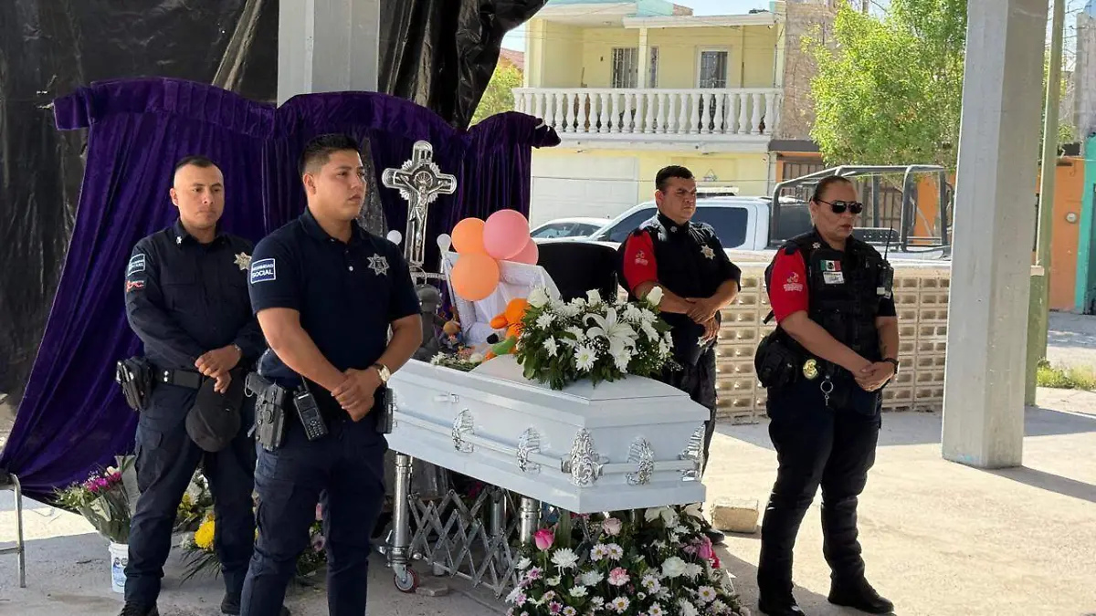 WhatsApp Image 2026-03-12 at 14.10.38