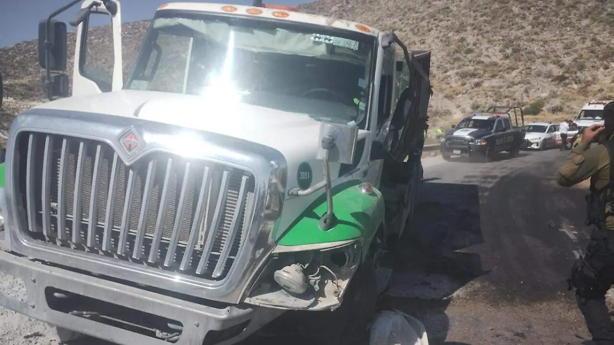 WhatsApp Image 2026-03-12 at 16.31.27