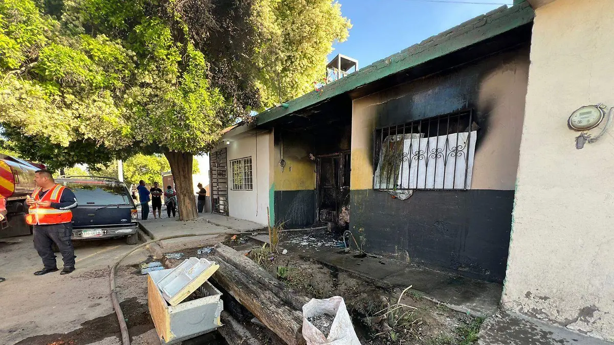 WhatsApp Image 2026-03-13 at 09.04.07