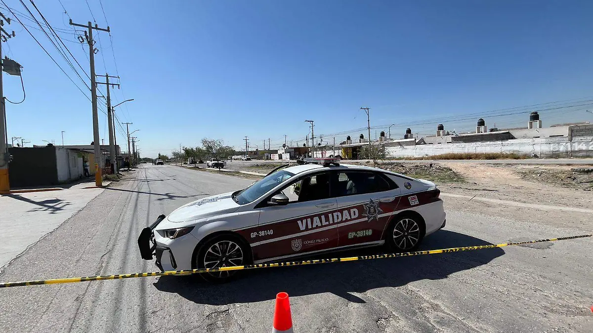 WhatsApp Image 2026-03-13 at 11.15.43