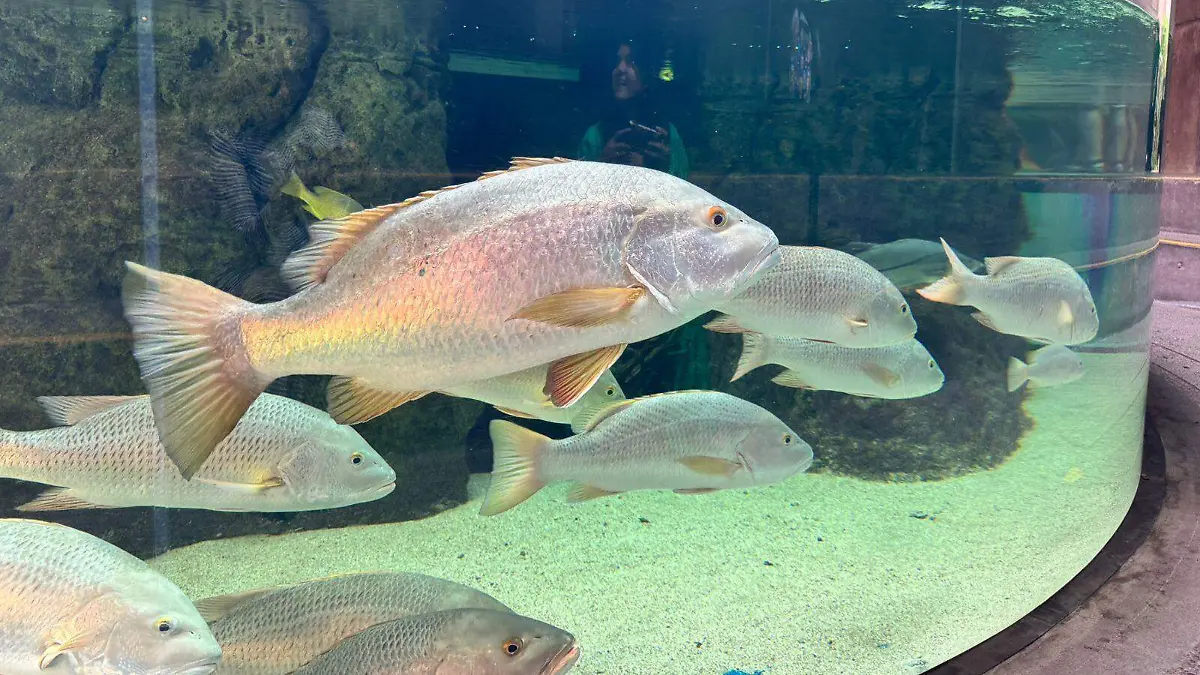 WhatsApp Image 2026-03-13 at 12.56.28