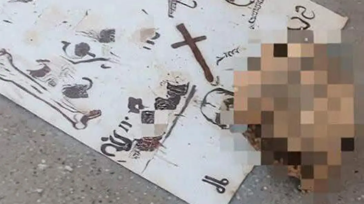 WhatsApp Image 2026-03-15 at 14.05.20