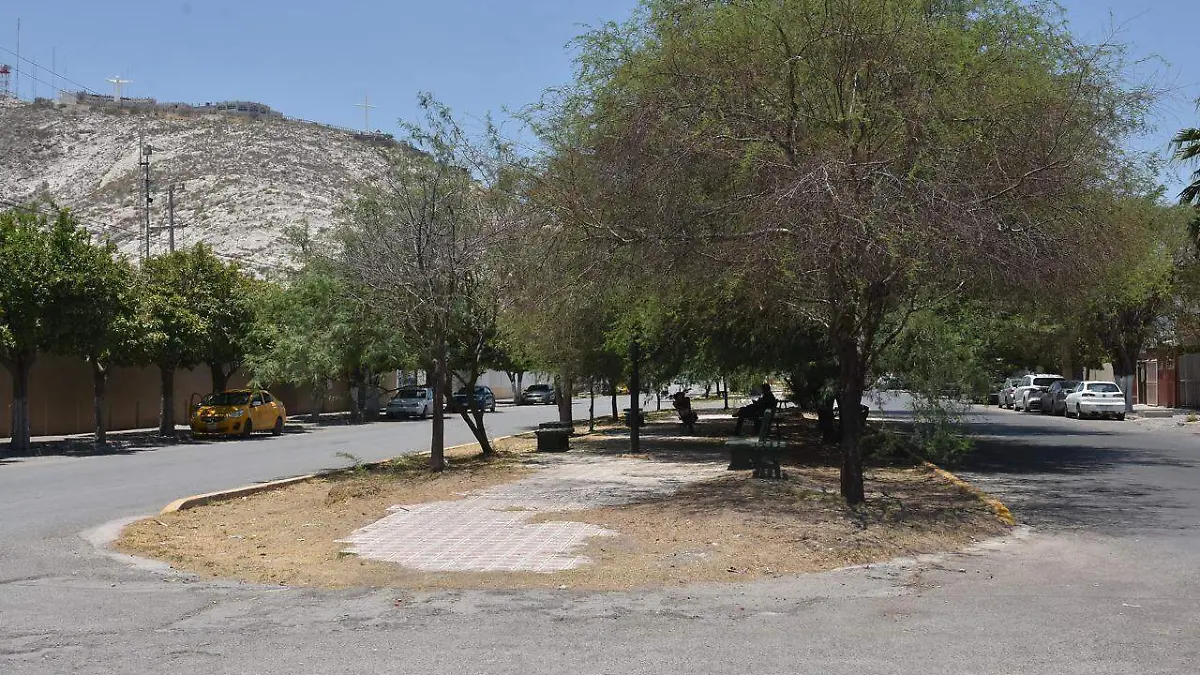 WhatsApp Image 2026-03-16 at 10.50.35 AM