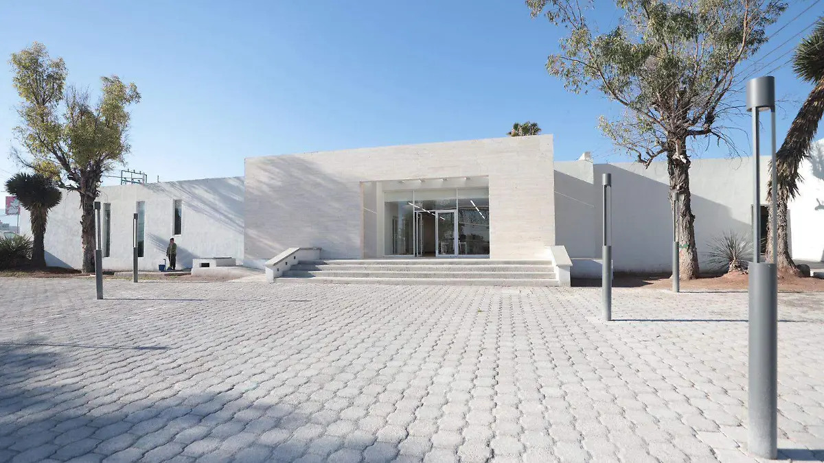 WhatsApp Image 2026-03-16 at 16.39.06