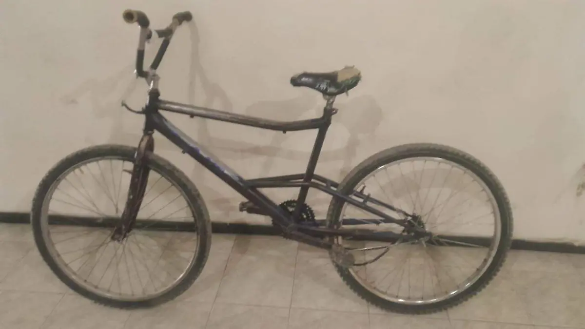 WhatsApp Image 2026-03-16 at 19.44.34