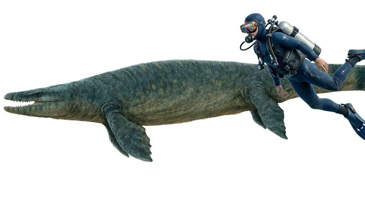 WhatsApp Image 2026-03-17 at 12.31.32 PM (1)