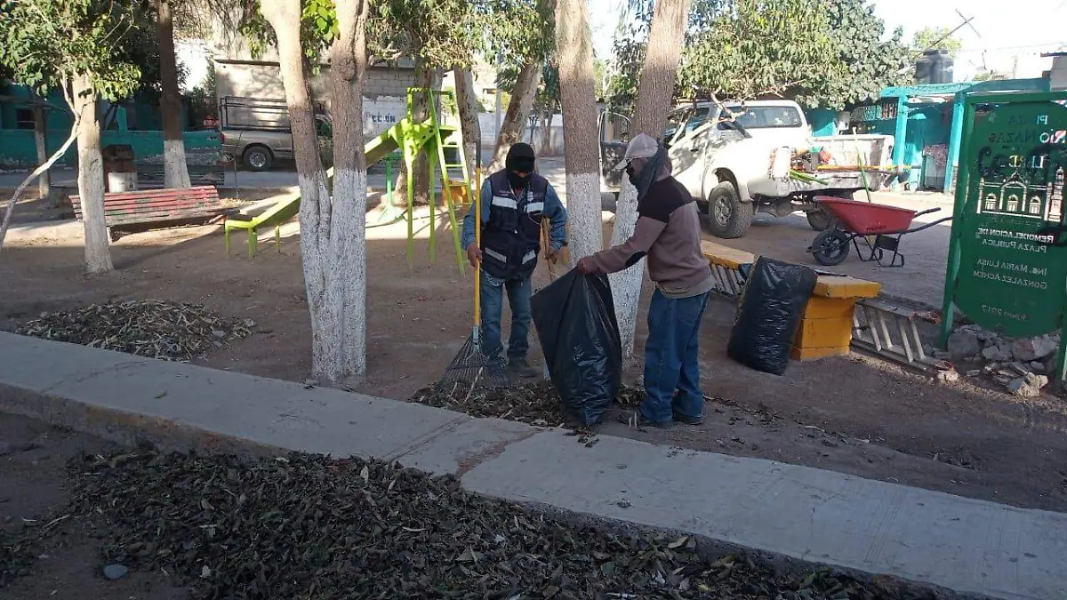 WhatsApp Image 2026-03-17 at 12.43.08 PM