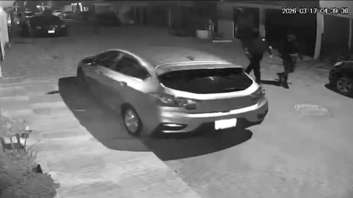 WhatsApp Image 2026-03-17 at 18.20.45