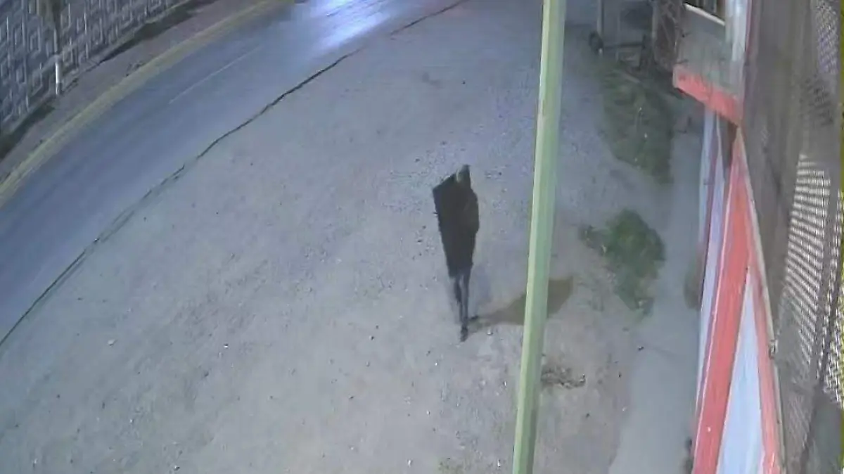 WhatsApp Image 2026-03-17 at 23.11.42