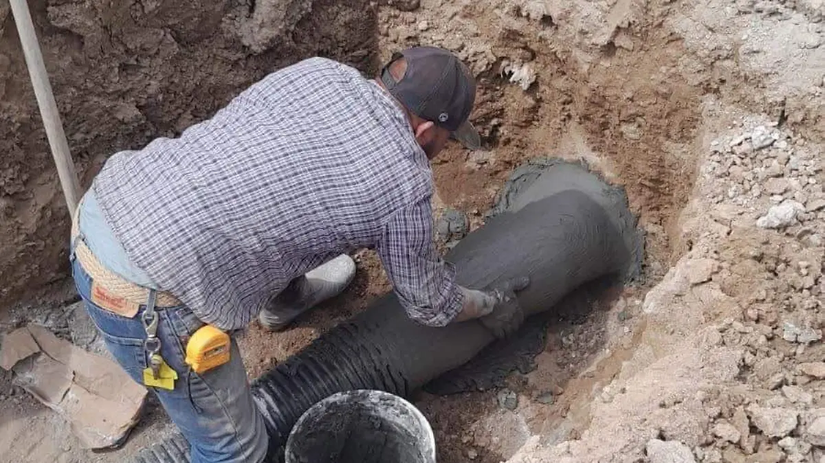 5bc2e163-dc42-4091-b540-b0aef2548b06