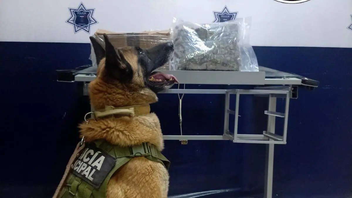 WhatsApp Image 2026-03-18 at 12.28.31