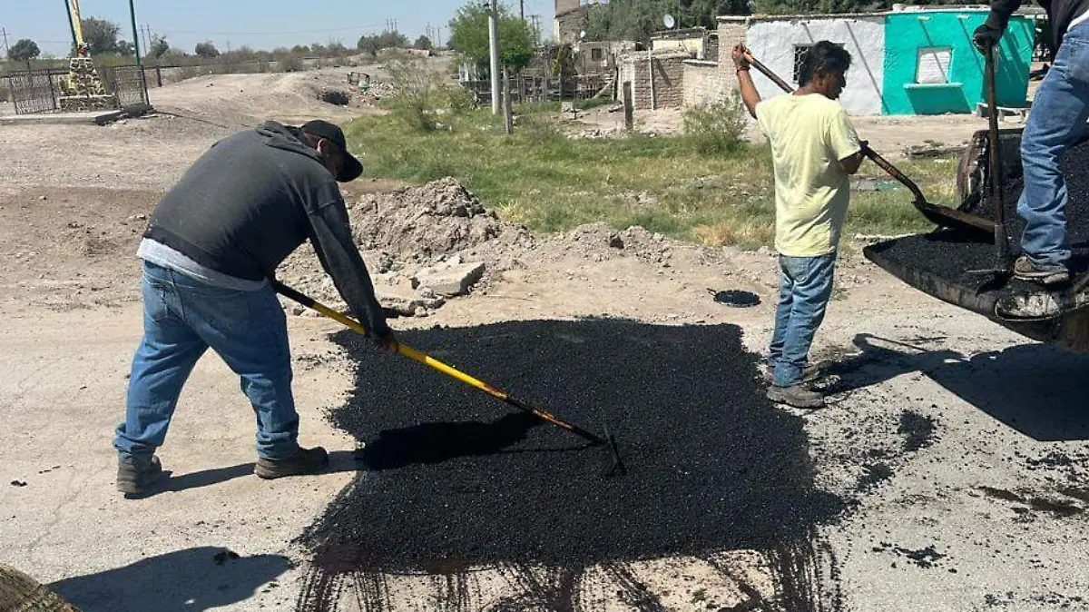 WhatsApp Image 2026-03-18 at 14.58.54