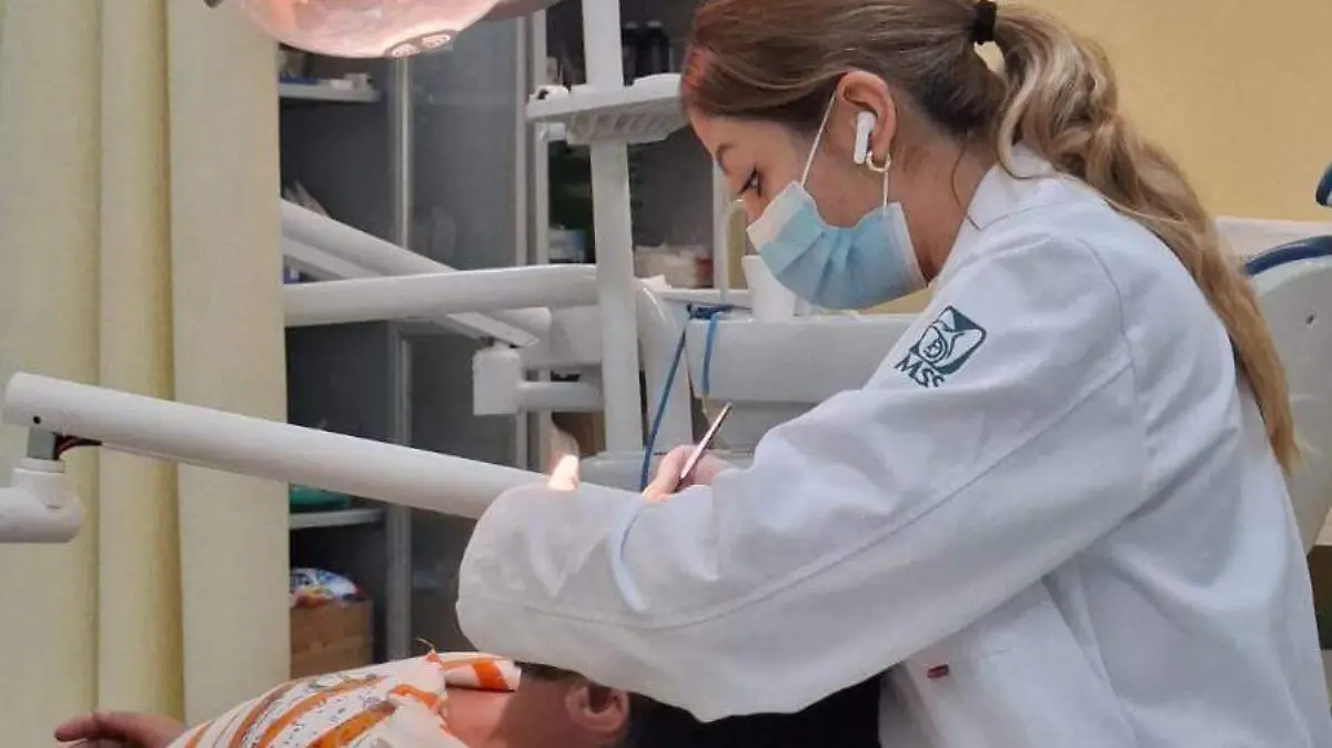 WhatsApp Image 2026-03-19 at 10.07.58 AM