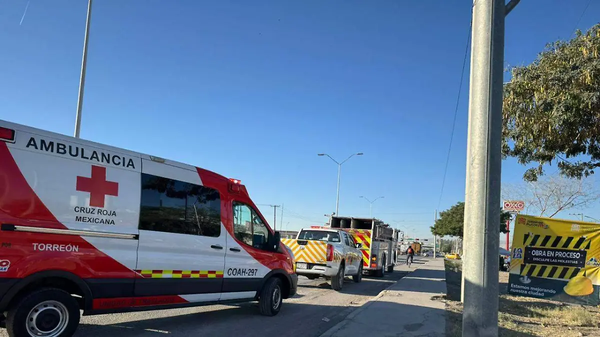 WhatsApp Image 2026-03-20 at 10.12.17 AM