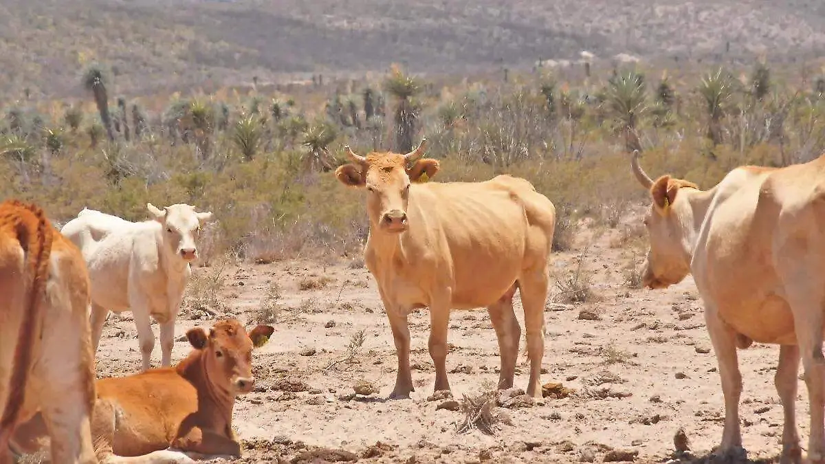 image - 2026-03-20T124757.554