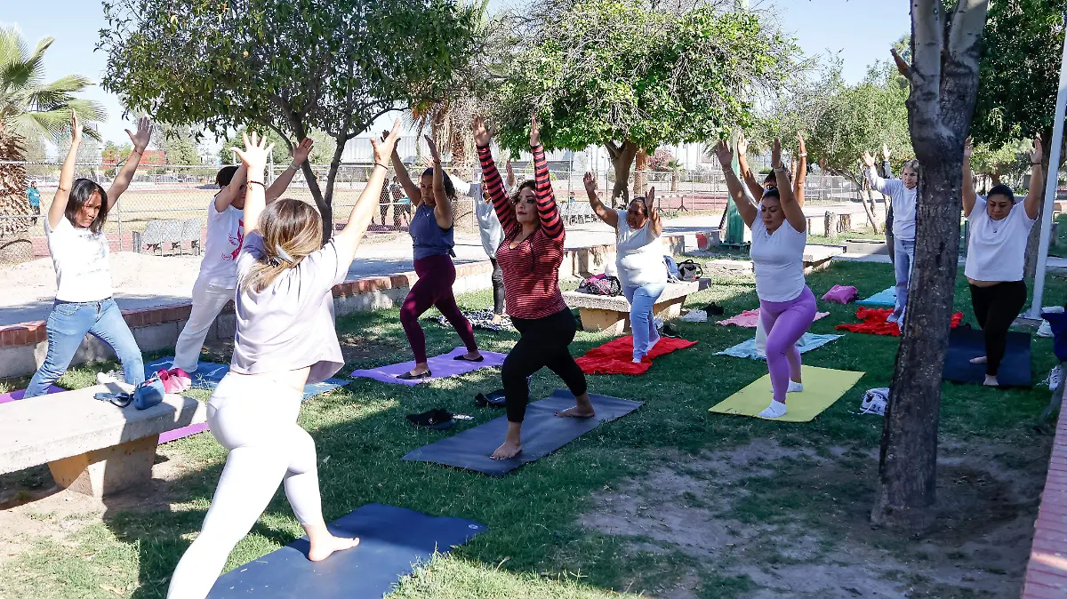 WhatsApp Image 2026-03-22 at 11.45.59