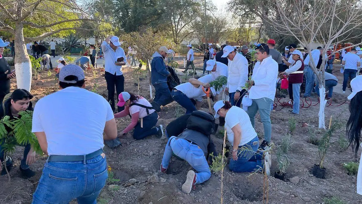 WhatsApp Image 2026-03-22 at 13.25.41