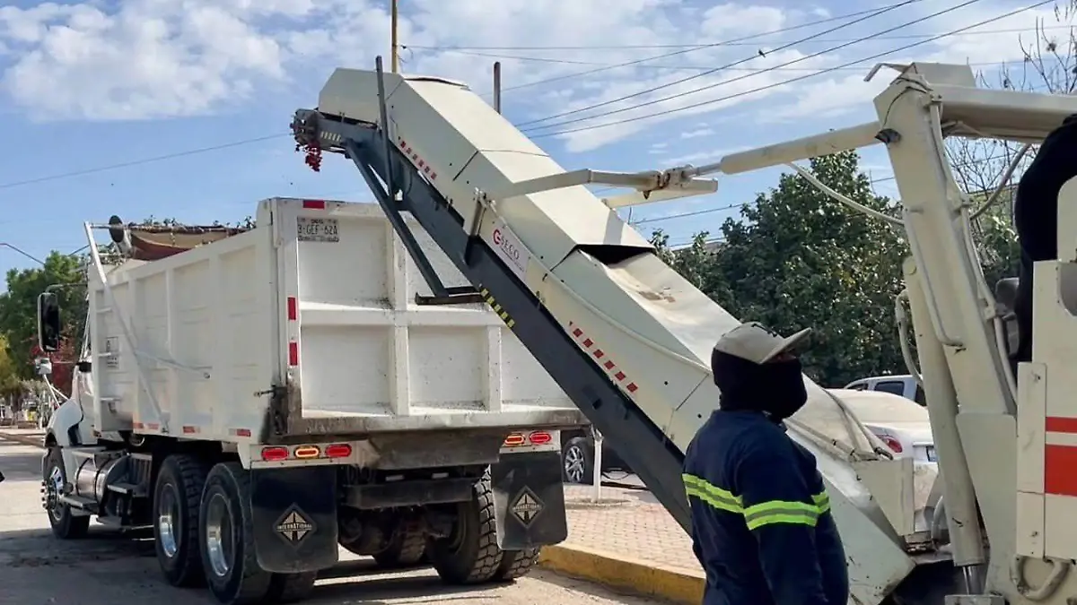 WhatsApp Image 2026-03-22 at 13.39.10