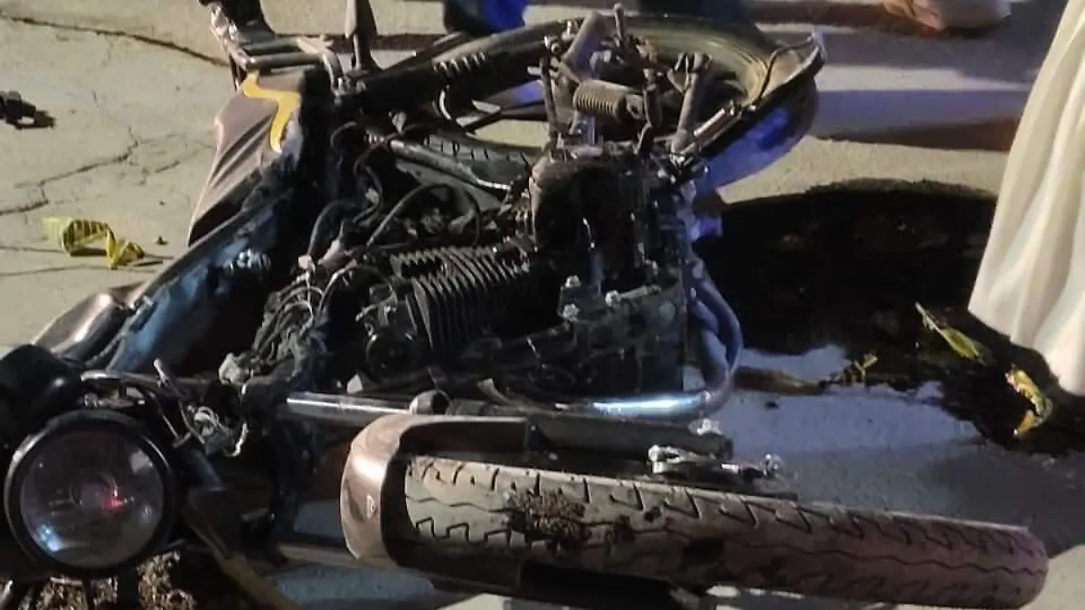 WhatsApp Image 2026-03-22 at 13.33.56