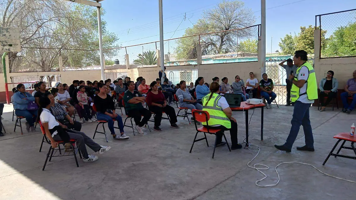 WhatsApp Image 2026-03-22 at 20.20.13