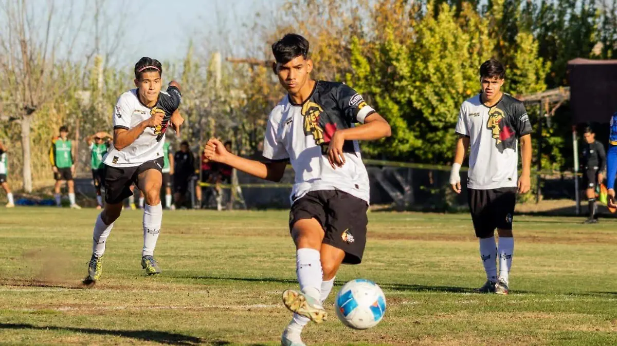 WhatsApp Image 2026-03-23 at 3.08.34 PM