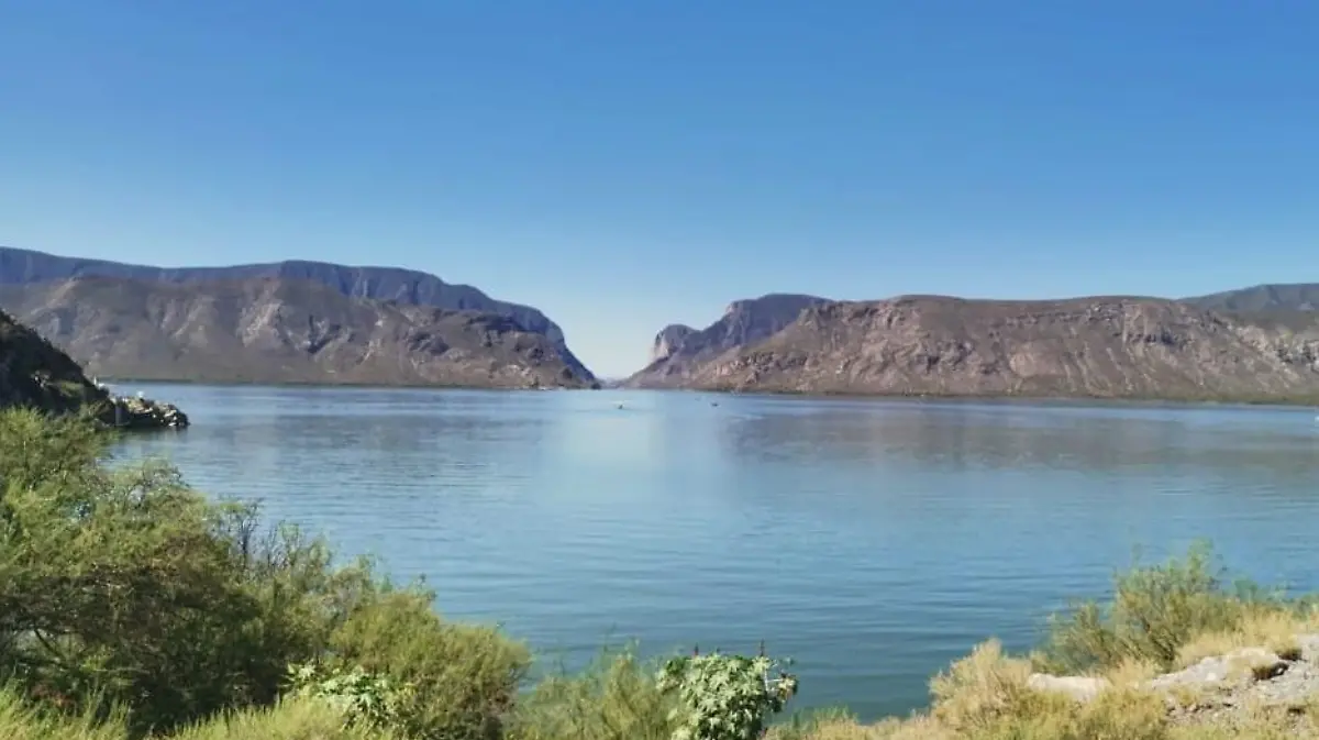 WhatsApp Image 2026-03-23 at 4.44.34 PM