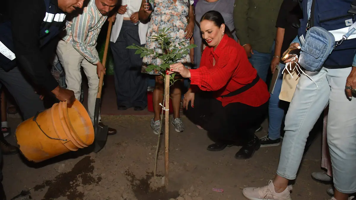 WhatsApp Image 2026-03-24 at 1.18.03 PM